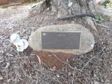 image of grave number 619071